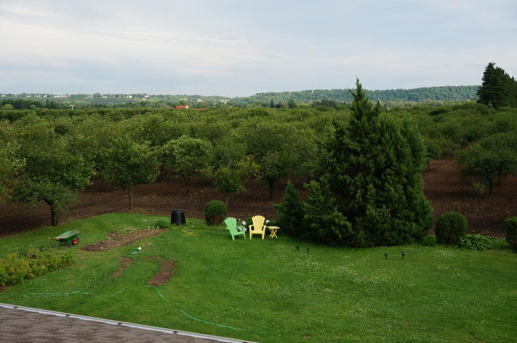 On The 6 Bed And Breakfast Ниагара-он-те-Лейк Номер фото